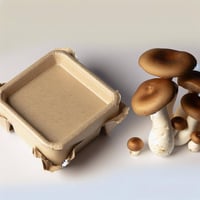 Square biodegradable packaging made from mushrooms